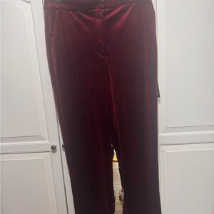 Express Burgundy Velvet Pants